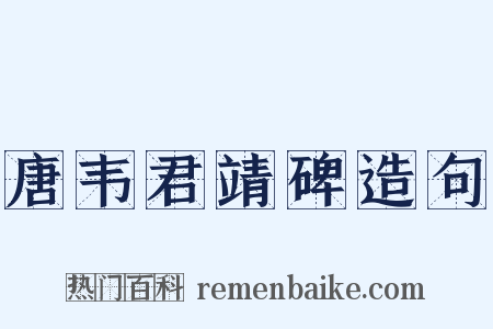 唐韦君靖碑造句是什么意思的图片